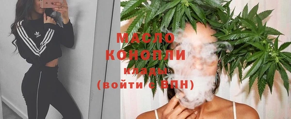 прущая мука Арсеньев