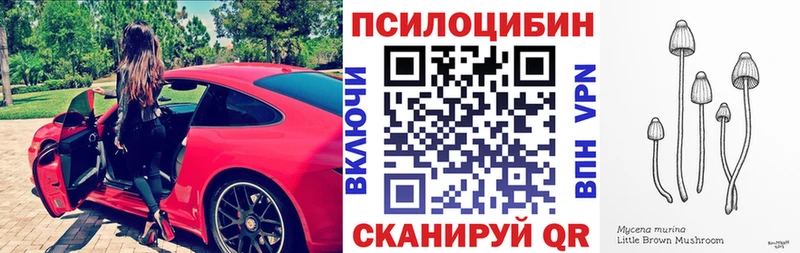 hydra tor  Междуреченск  Галлюциногенные грибы ЛСД  купить  сайты 
